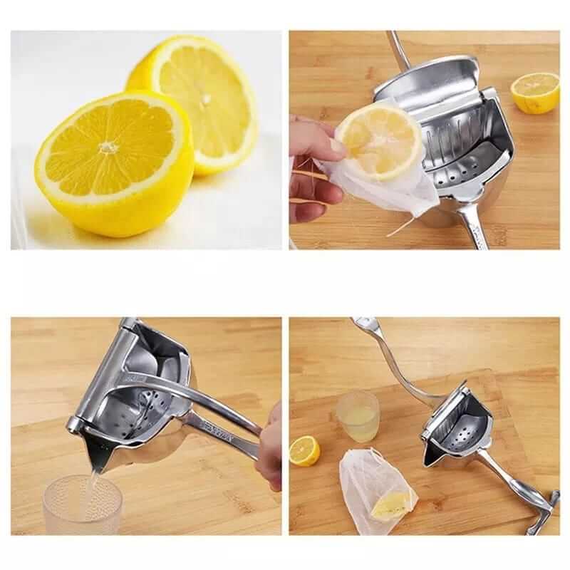 Stainless Steel Fruit Juicer